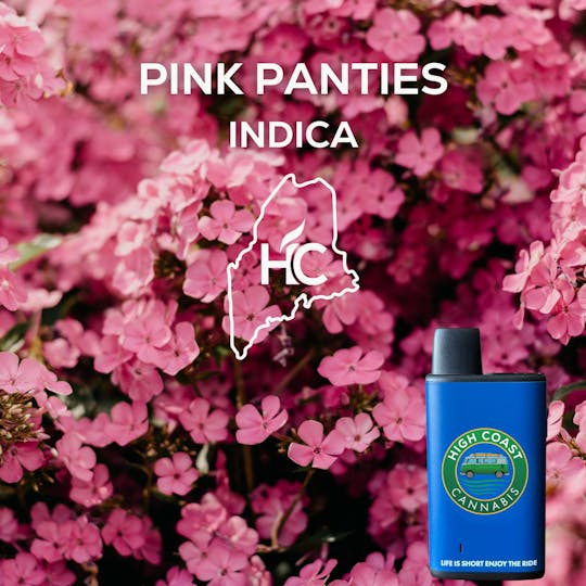 High Coast - High Coast 1G Disposable (Pink Panties) - 1