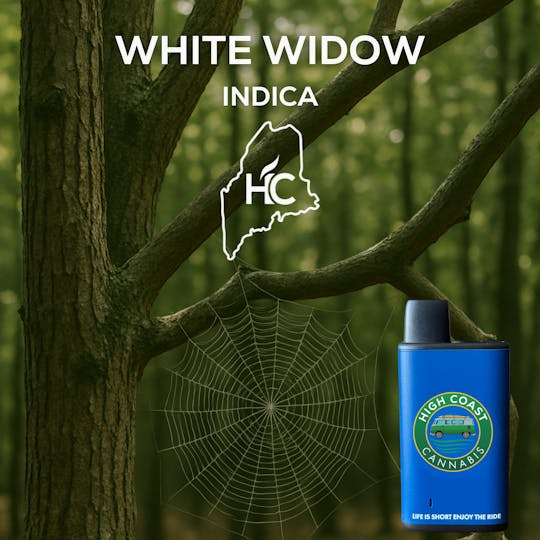 High Coast - High Coast 1G Disposable (White Widow) - 1
