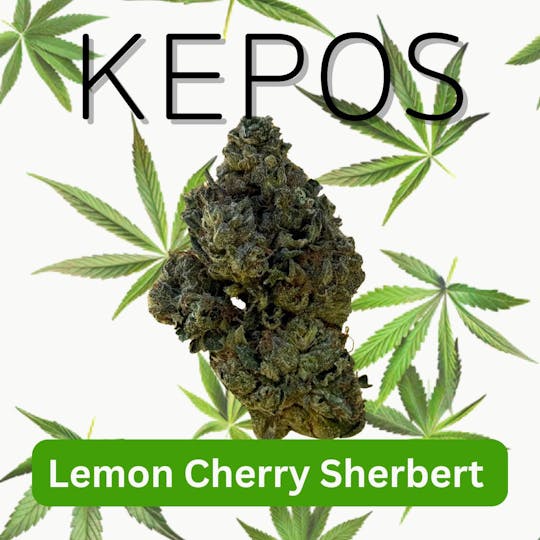 Nu Cannabis Brand - Kepos - Lemon Cherry Sherbert 14g - PREMIUM FLOWERS - 1