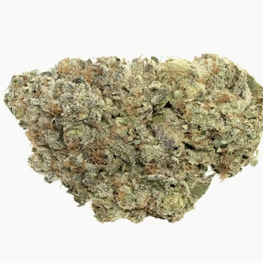 Frostiez - GG4 - Premium Shelf - Hybrid - 1
