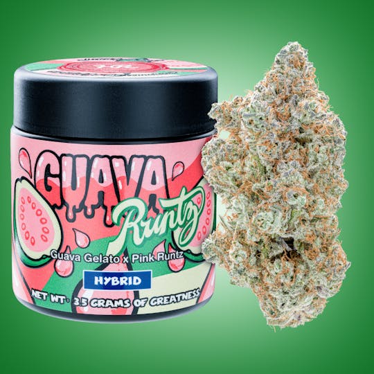 High Rise - Guava Runtz 3.5g | High Rise Cannabis - 1