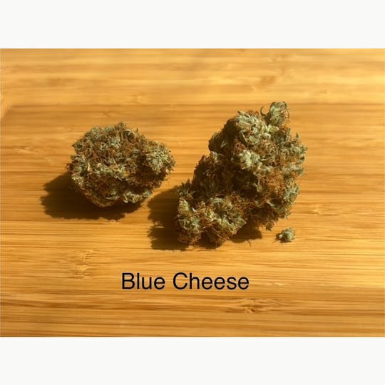 ITF - Blue Cheese - 1