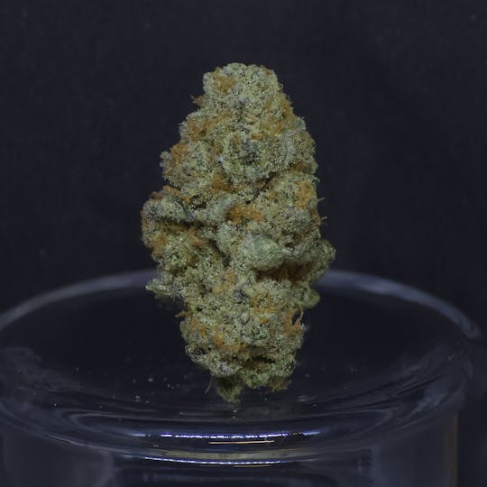 BAM Alaska - Dirty Love Sugar .5g - 20 Pack - 1