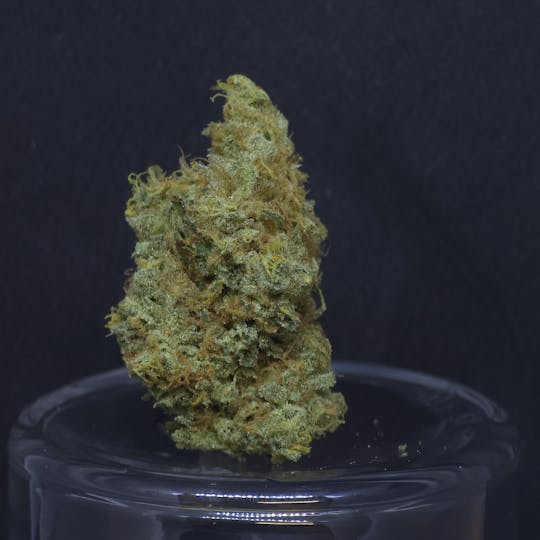 BAM Alaska - Strawberry O 14g Flower - 1