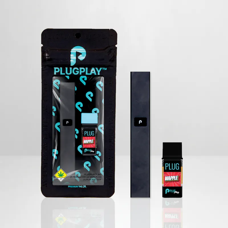 Plug Play All-in-Ones Washington: Wapple disposable