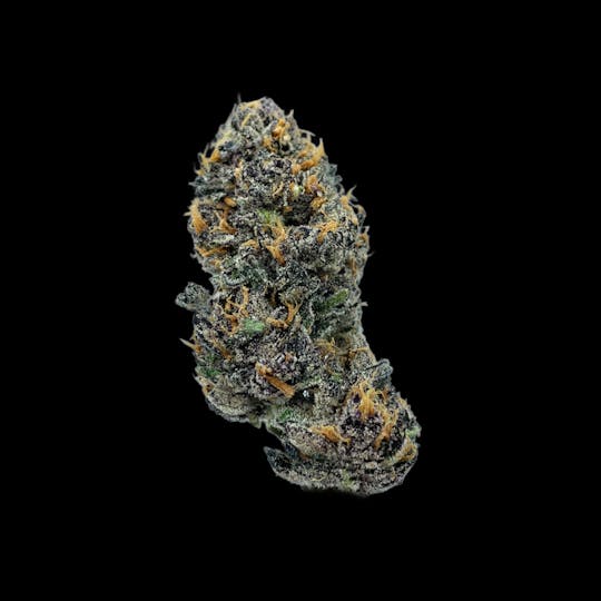 Auraz - Premium Flower | Cream Smoothie - 1