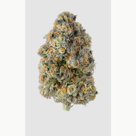 Khalifa Kush - 14g Baby Turtle Flower - 1