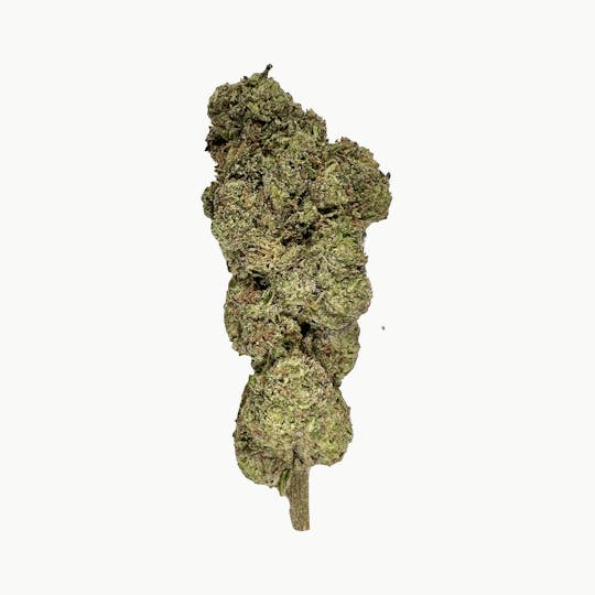Indico - Rainbow Runtz $100oz - Indico - 1