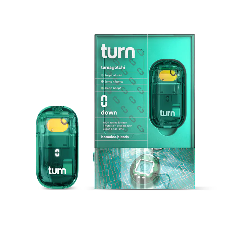 Turn agotchi Retrovision 2G Disposable 2g disposable