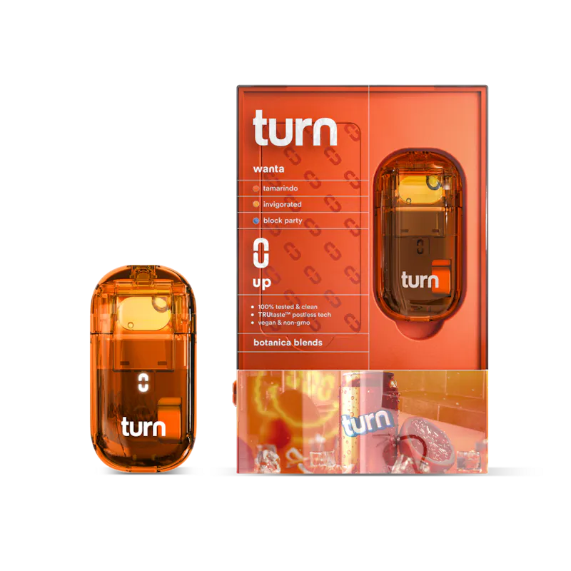 Turn Wanta Retrovision 2G Disposable 2g disposable