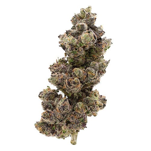 Billo - Billo | Billo Sherb | Flower | 1G - 1