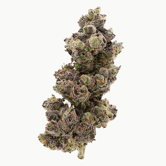 Billo - Billo | Billo Sherb | Flower | 1G - 1
