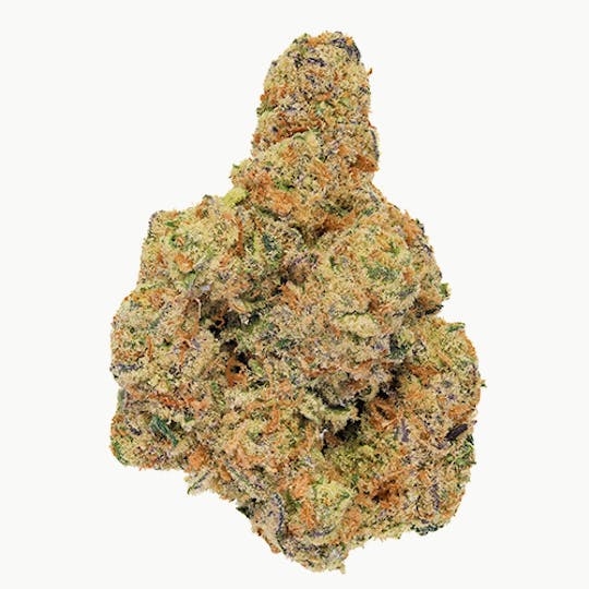 Billo - Billo | Polygon OG | Smalls | 7G - 1