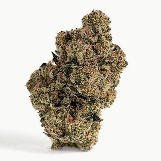 Billo - Billo | Sour Sage | Smalls | 7G - 1