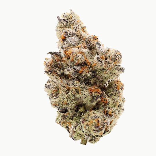 Billo - Billo | Platinum Yoda | Smalls | 7G - 1