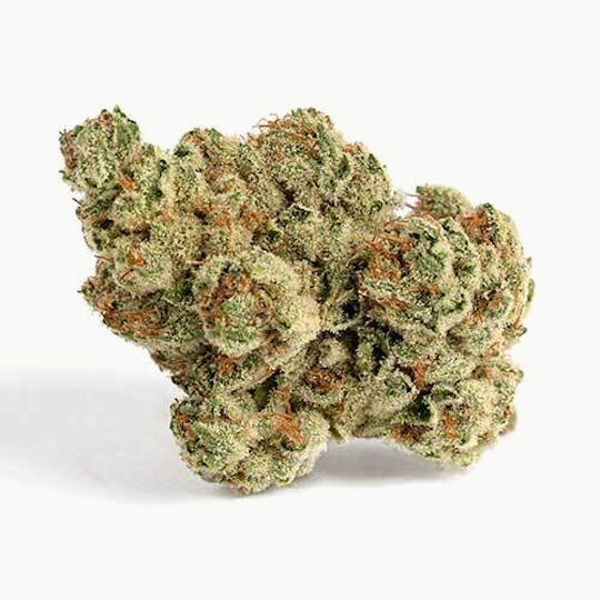 Billo - Billo | Peking Duck | Smalls | 7G - 1