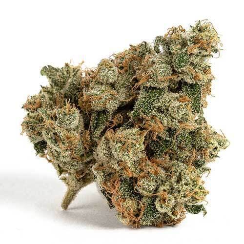 Billo - Billo | Bifrost | Flower | 7G - 1