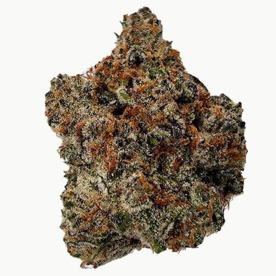 Billo - Billo | Gatorade | Flower | 3.5G - 1
