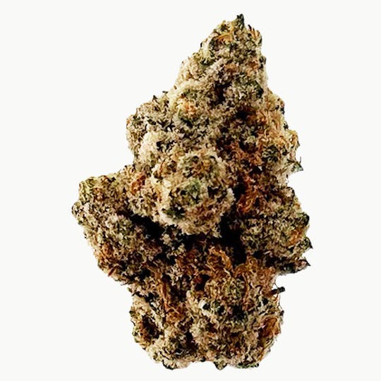 Billo - Billo | Josh D | Flower | 3.5G - 1
