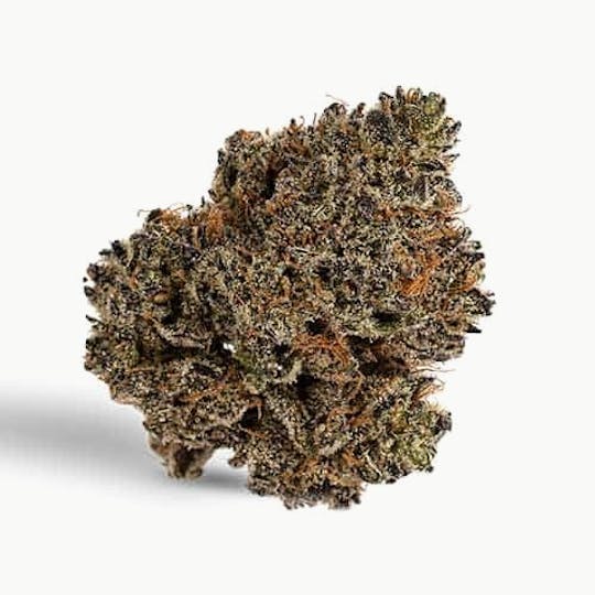 Billo - Billo | Lilac Diesel | Smalls | 7G - 1