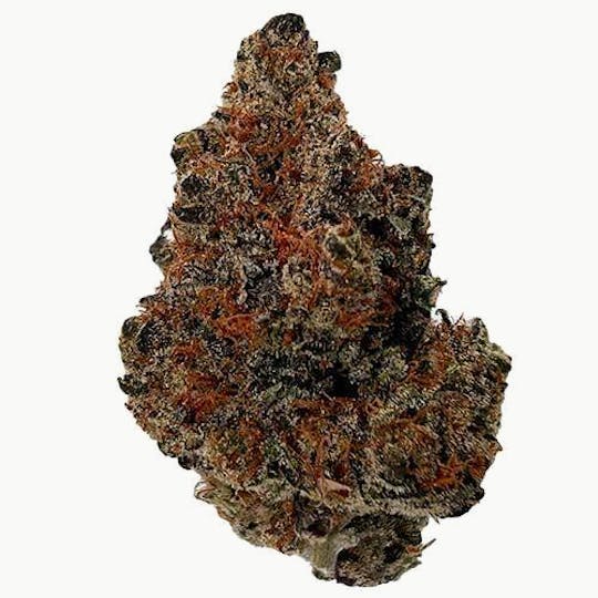Billo - Billo | DFO | Flower | 7G - 1