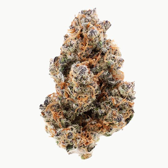 Billo - Billo | Blue Scream | Smalls | 7G - 1