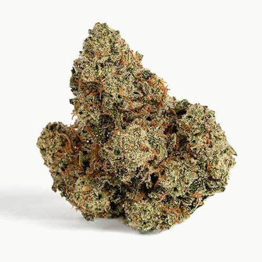 Billo - Billo | Midori | Smalls | 7G - 1