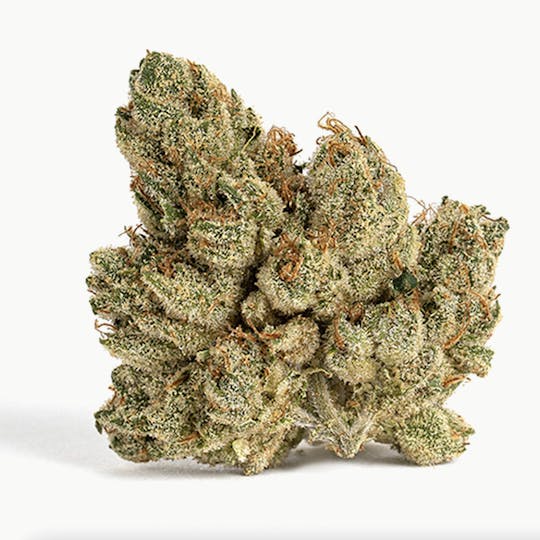 Billo - Billo | Crescendo Sour Cookies | Flower | 28G - 1