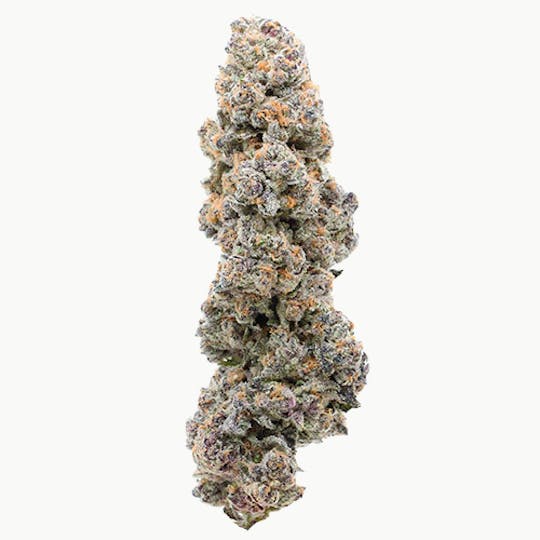 Billo - Billo | Trop Cherry | Flower | 14G - 1
