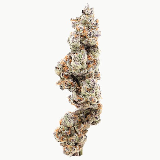 Billo - Billo | Chimera | Flower | 28G - 1