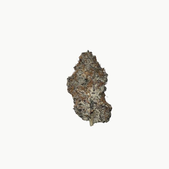 Indico - Alien Vortex - Unicorn Tears - 1
