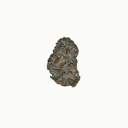 Indico - Punch Breath - Indico - 1