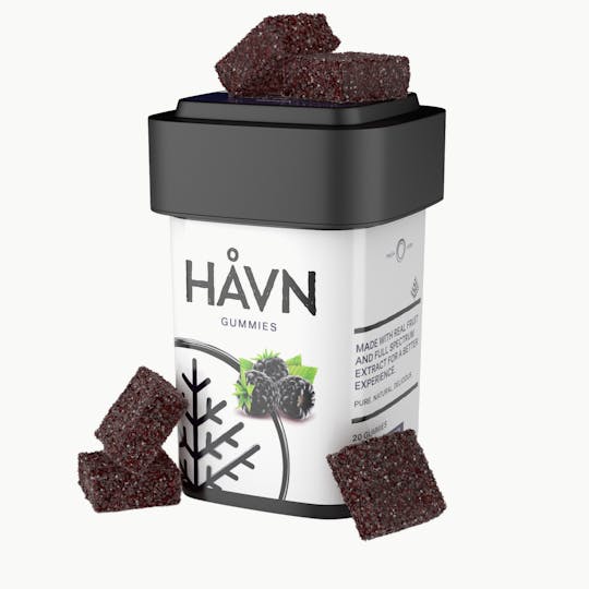 HAVN Extracts LLC - Blackberry Gummies | 2:1 THC:CBN - 1