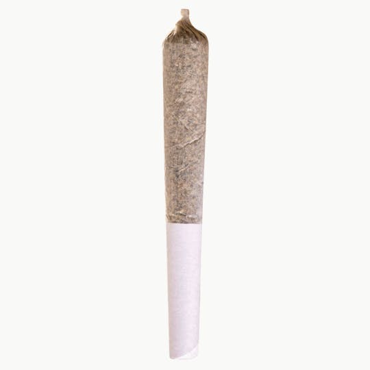Station House - Canadian Northern Series Pre-Roll 1x0.5g Pre-Rolls - 1