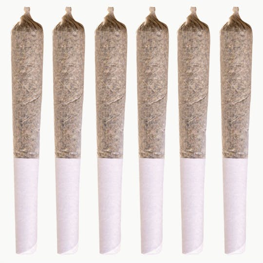 Station House - Jack Herer Pre-Rolls | 6x0.5g - 1