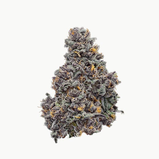 Enlighten - Peak 112 - DELI - 1