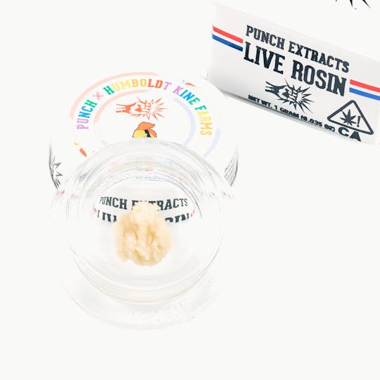 Punch Edibles & Extracts - Zoap Tier 3 Live Rosin Cold Cure Badder (1g) - 1