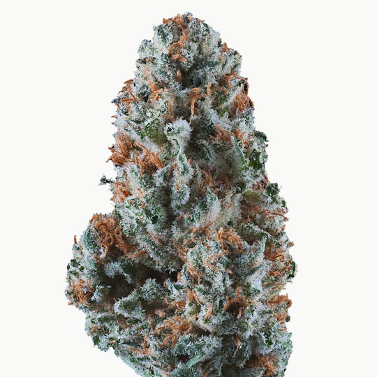 Frostiez - Curelato (3.5g - 1/8oz) - Topshelf Indoor - Hybrid - 1