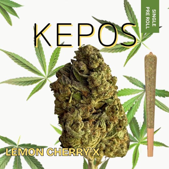 Nu Cannabis Brand - Kepos - Lemon Cherry X 1.2g - PRE ROLL - 1