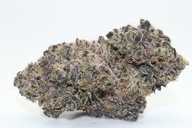 Original Intelligence - Original Intelligence Hash Burger 14g Premium Light Assisted - 1