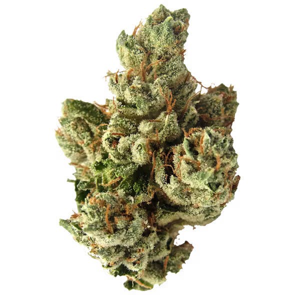 Original Intelligence - SFV OG 14g Premium Light Assist - 1
