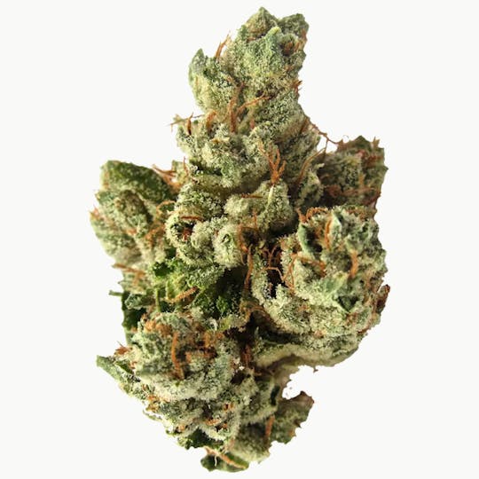 Original Intelligence - SFV OG 14g Premium Light Assist - 1
