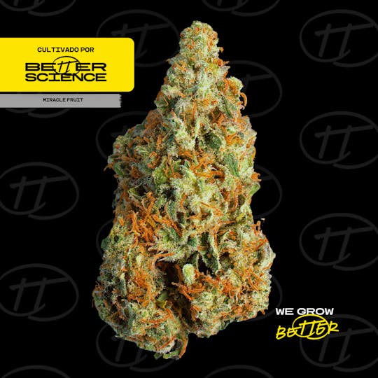 Better Science - BSC - Miracle Fruit Flower - 1