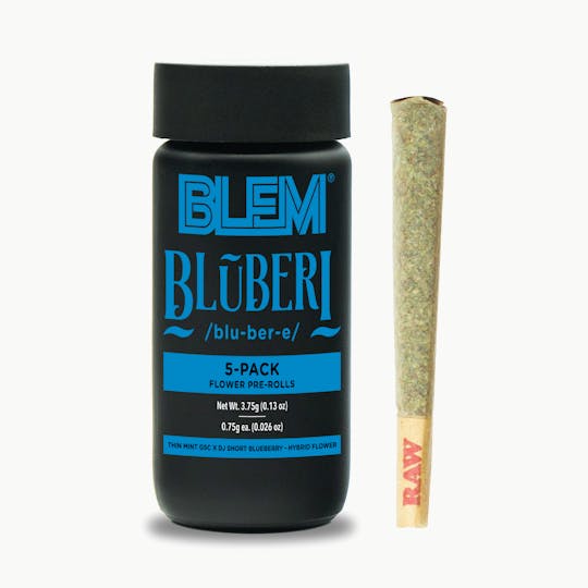 BLEM - BLEM BLUBERI 5 PACK PR - 1