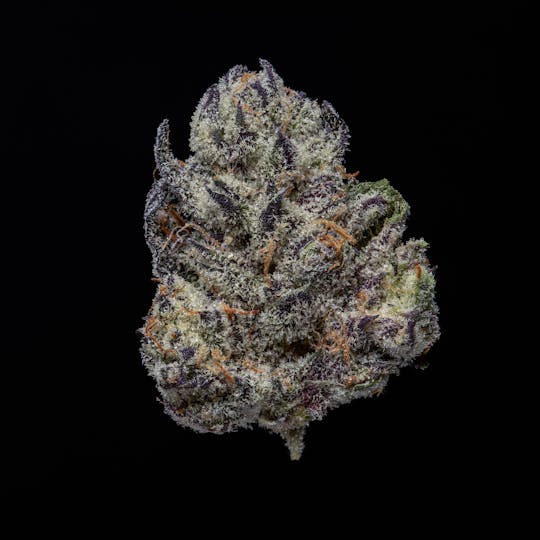 JAR Cannabis Co. - White Truffle by JAR Cannabis Co. - 1