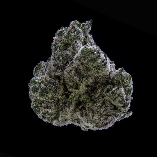JAR Cannabis Co. - Grape Gas by JAR Cannabis Co. - 1