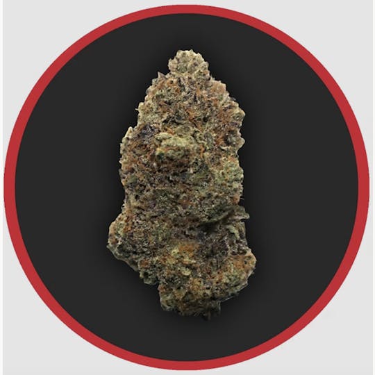 Robust - Robust | Brunch Punch | Flower | 1G - 1