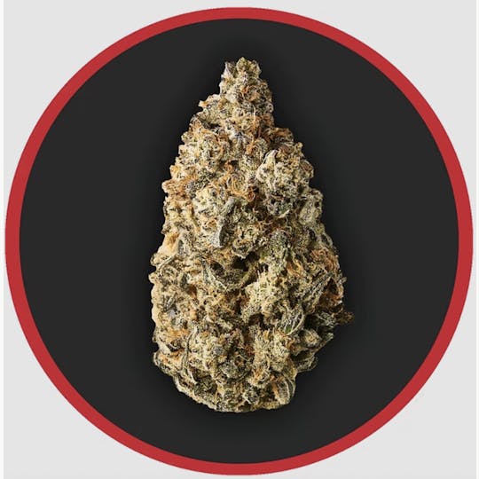 Robust - Robust | Hash Burger | Flower | 1G - 1