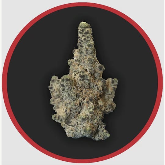 Robust - Robust | Gush Mints | Flower | 3.5G - 1