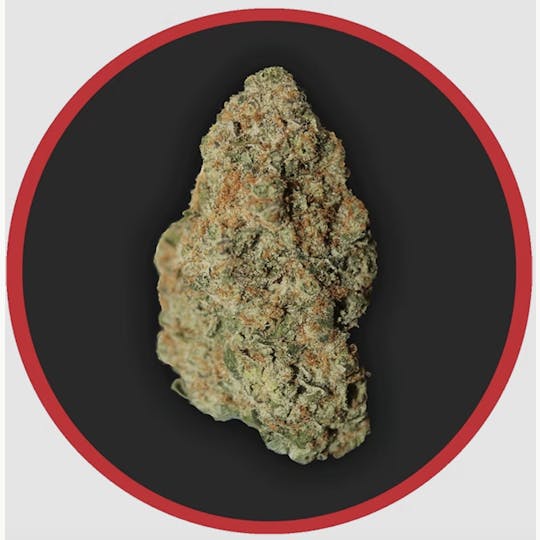 Robust - Robust | Pineapple Breeze | Flower | 3.5G - 1